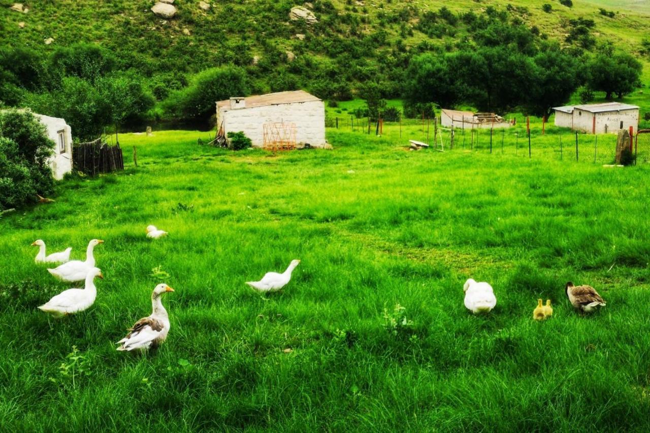 Oban Guest Farm Villa Van Reenen Kültér fotó