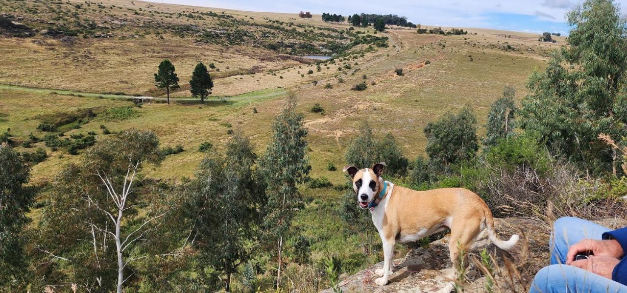 Oban Guest Farm Villa Van Reenen Kültér fotó
