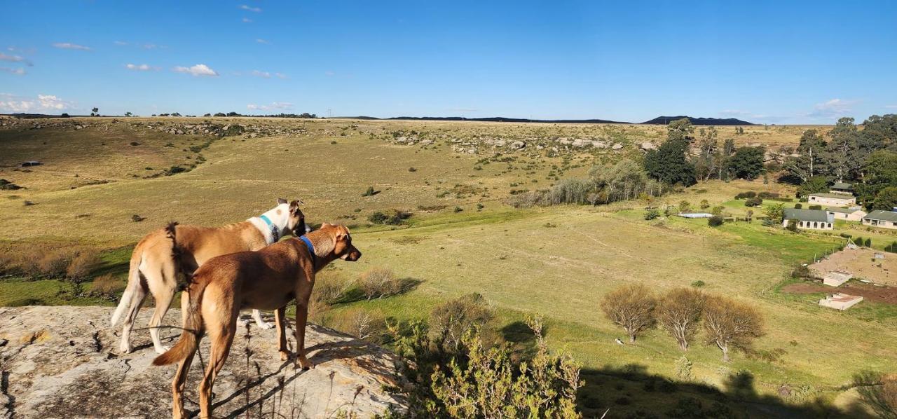 Oban Guest Farm Villa Van Reenen Kültér fotó